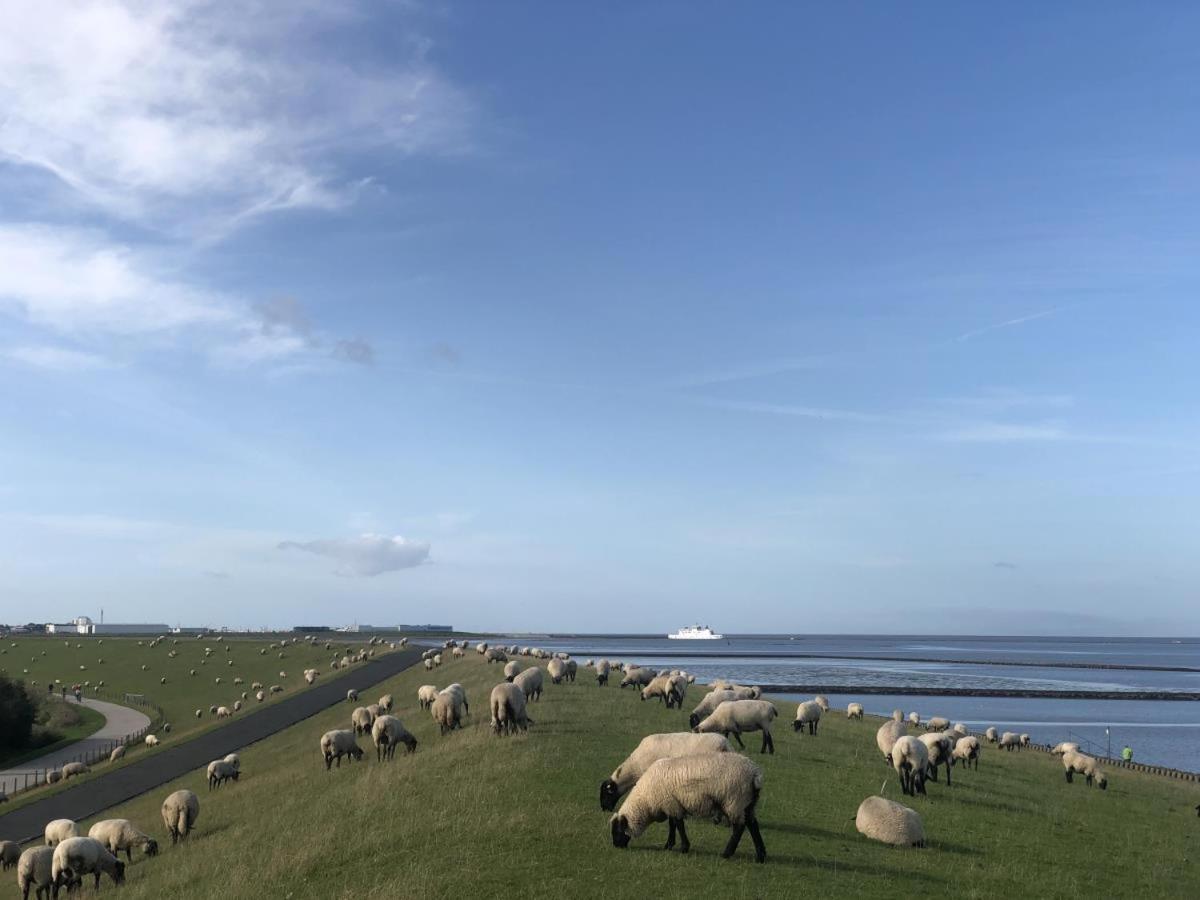 Wind Und Meer - Traumhaft An Der Nordsee Norddeich  Exterior foto